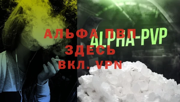 ПСИЛОЦИБИНОВЫЕ ГРИБЫ Краснослободск