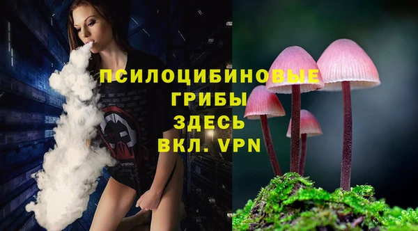 альфа пвп Красноперекопск