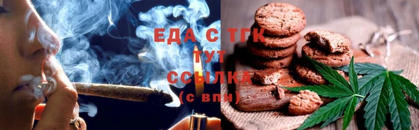 прущие грибы Корсаков