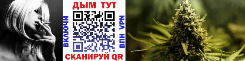 Каннабис ГИДРОПОН  Купить где  Новое Девяткино 